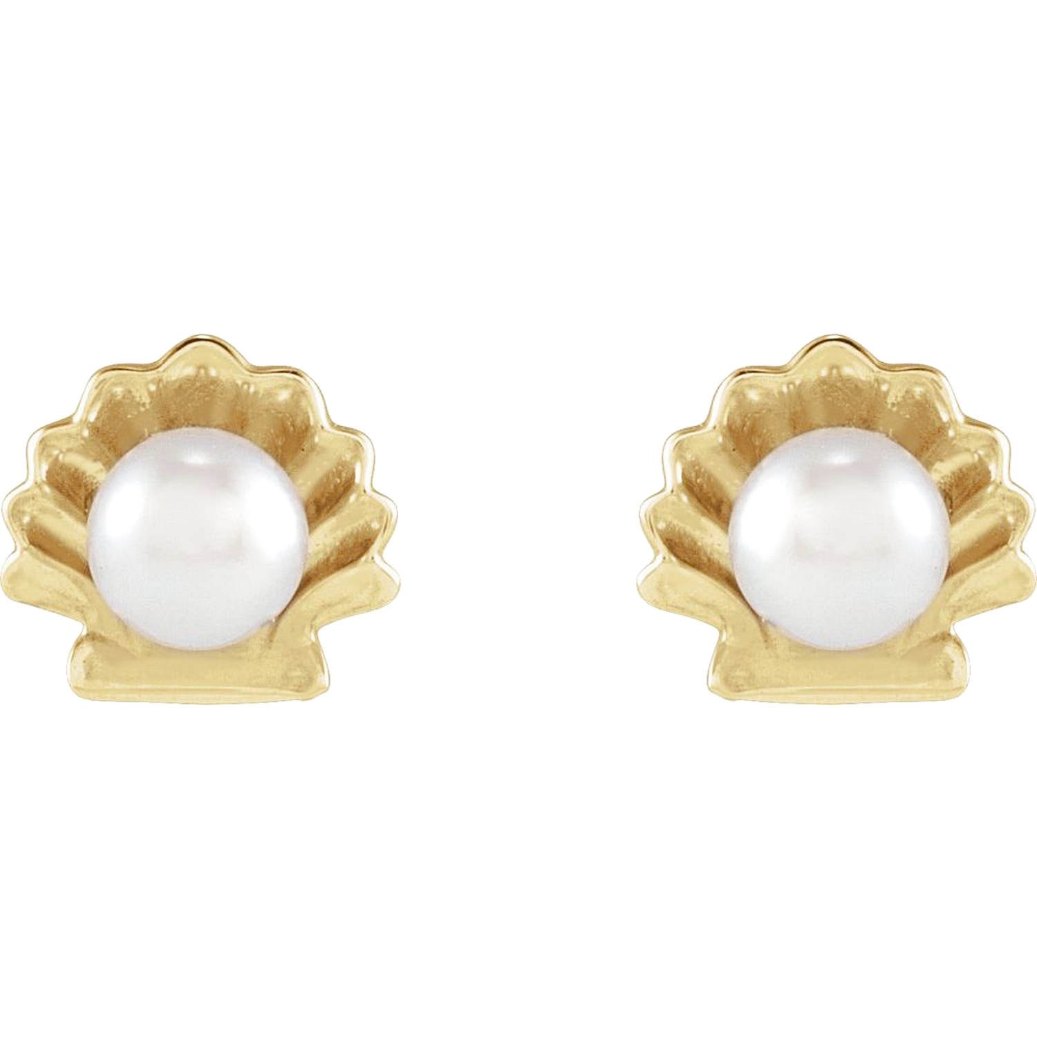 14K Gold Pearl Seashell Stud Earrings