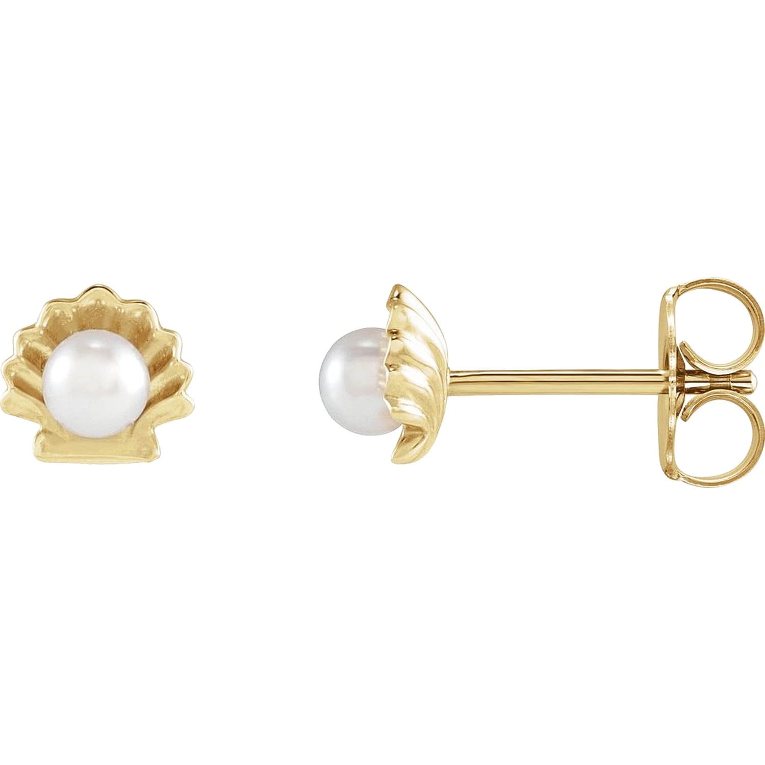 14K yellow Gold Pearl Seashell Stud Earrings